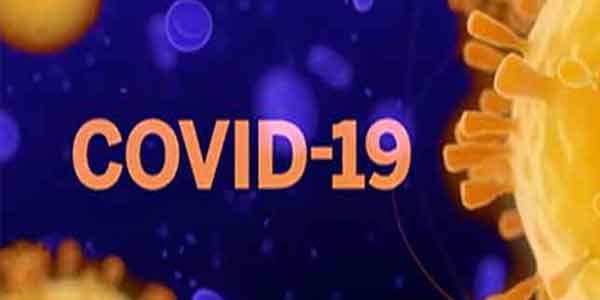 Economic impact on COVID-19 on SA