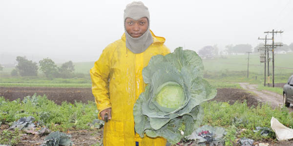 Standard Bank’s OneFarm Share platform provides over 1 million meals for food relief – targets 30 million in 2021