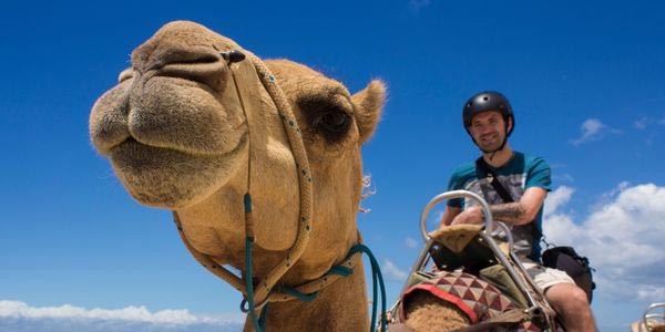 What does travel insurance cover